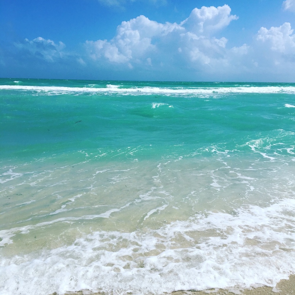 Meet your Posher, Azalia